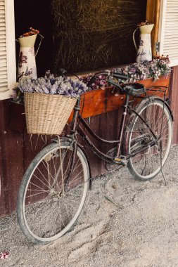 Vintage Bisiklet - vintage filtre ile yumuşak odak