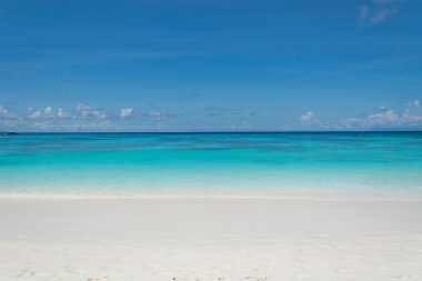 Deniz ve plaj ile mavi gökyüzü