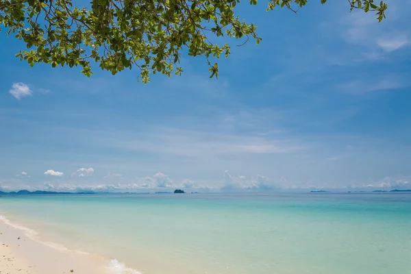 Blue sky with beach sea and leaf — Stock Photo, Image