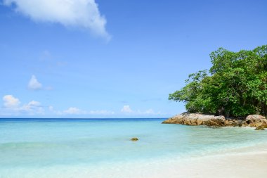 plaj deniz ve yaprak ile mavi gökyüzü 