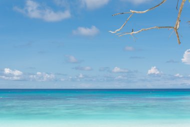 Mavi gökyüzü ve okyanus su