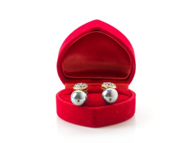 Beyaz arkaplanda mücevher kutusu