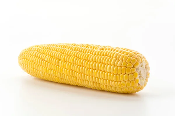 Fresh corn on white background — Stock Photo, Image