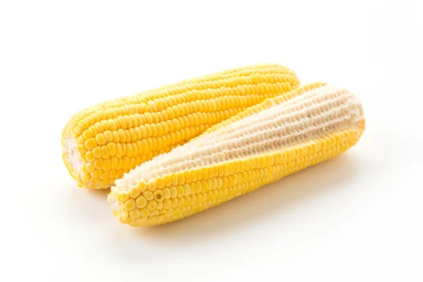 Fresh corn on white background — Stock Photo, Image