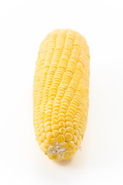 Beyaz arkaplanda taze mısır