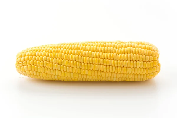 Fresh corn on white background — Stock Photo, Image