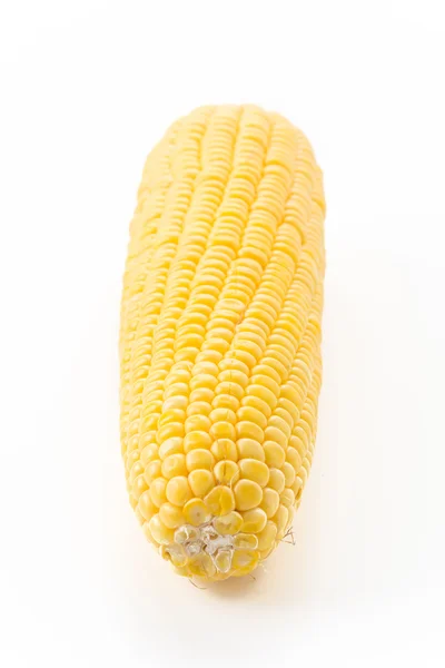 Fresh corn on white background — Stock Photo, Image