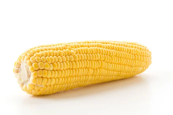 Fresh corn on white background — Stock Photo, Image