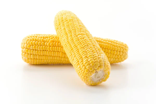 Fresh corn on white background — Stock Photo, Image