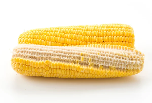 Fresh corn on white background — Stock Photo, Image