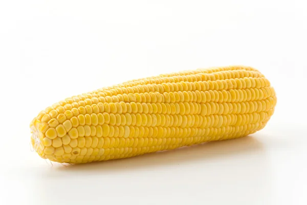 Fresh corn on white background — Stock Photo, Image