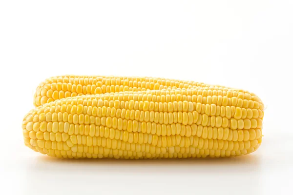 Fresh corn on white background — Stock Photo, Image