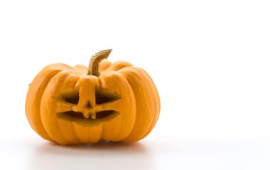 Beyaz arka planda Cadılar Bayramı kabağı