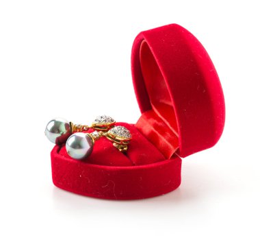 Beyaz arkaplanda mücevher kutusu