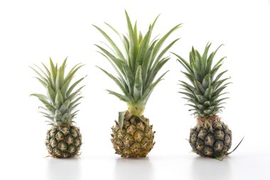 Beyaz arkaplanda taze ananas