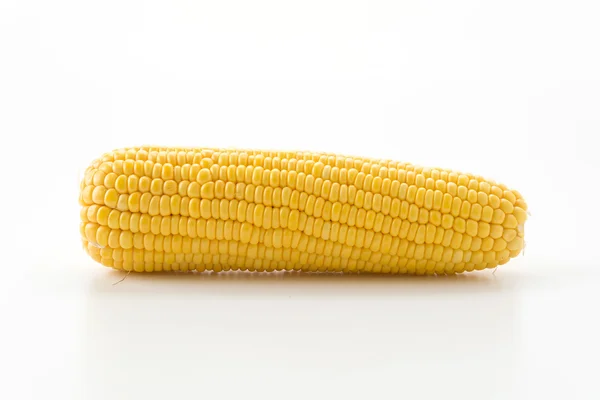 Färsk majs på vit bakgrund — Stockfoto