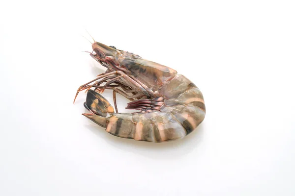 Fresh Tiger Prawn Shrimp Isolated White Background — Stock Photo, Image