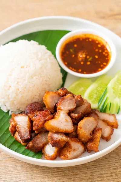 Gebratenes Schweinebauch Mit Reis Mit Würziger Sauce Asiatischen Stil — Stockfoto