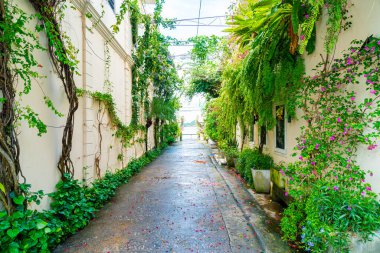 Songkhla, Tayland 'da ağaç ve bitkilerle dolu renkli ve güzel bir kasaba.