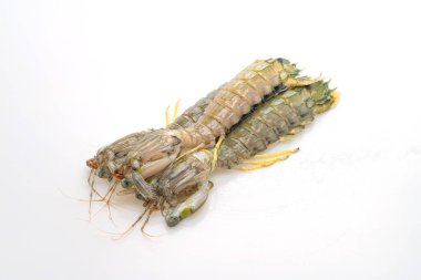 Beyaz arkaplanda taze peygamber devesi karidesi