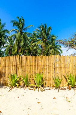 Mavi gökyüzü ile tropik plajda bambu duvar