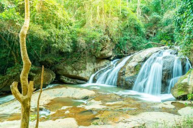 Güzel Mae Sa Şelalesi Chiang Mai, Tayland