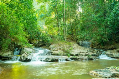 Güzel Mae Sa Şelalesi Chiang Mai, Tayland