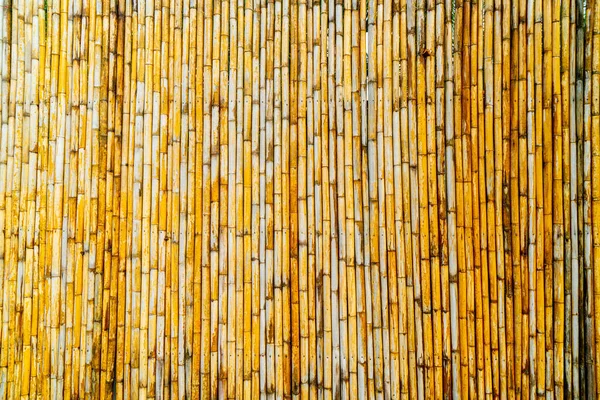 Árvore Com Fundo Bambu Espaço Cópia — Fotografia de Stock