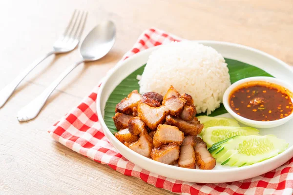 Goreng Perut Babi Dengan Nasi Dengan Saus Pedas Dalam Gaya — Stok Foto