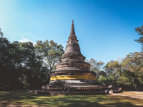 Antica Pagoda Wat Umong Chiang Mai Thailandia — Foto Stock