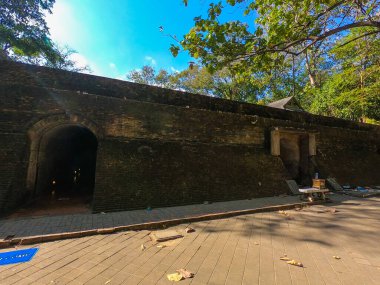 Chiang Mai, Tayland 'daki Wat Umong Suan Puthatham' da eski yeşil yosun duvarlı tünel.