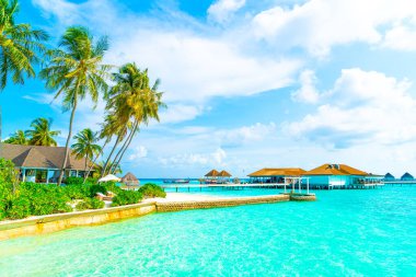 Güzel tropikal Maldivler tatil geçmişi olan plaj ve deniz manzaralı otel ve adalara giderler.