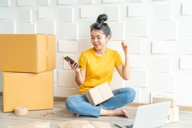 Akıllı telefon ile başlangıç küçük iş girişimci SME serbest kadın çalışması-online alışveriş veya online konsept satmak