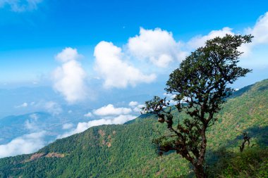 Tayland, Chiang Mai 'deki Kew Mae Pan Doğa Yolu' nda bulutlu ve mavi gökyüzü olan güzel bir dağ tabakası.