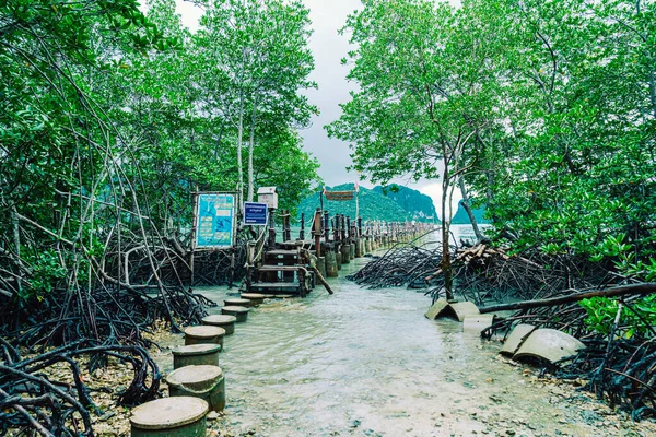 木製の橋Attalet Bay Khanom Nakhonスリランカ タマサート州の観光名所 — ストック写真