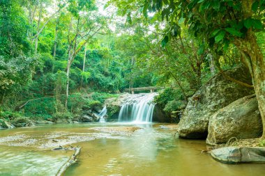 Güzel Mae Sa Şelalesi Chiang Mai, Tayland