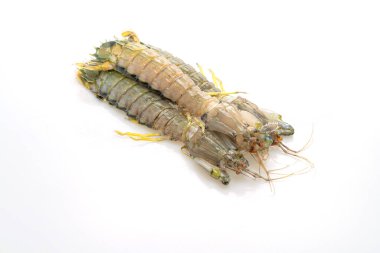 Beyaz arkaplanda taze peygamber devesi karidesi