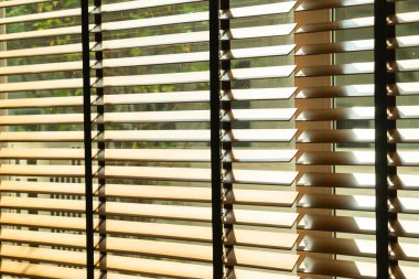 yakın çekim bambu perdesi, bambu perdesi, civciv, Venedik körü ya da güneş körü - yumuşak odak noktası