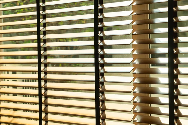 yakın çekim bambu perdesi, bambu perdesi, civciv, Venedik körü ya da güneş körü - yumuşak odak noktası