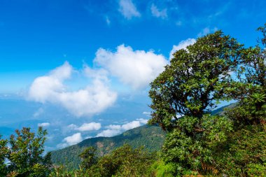 Tayland, Chiang Mai 'deki Kew Mae Pan Doğa Yolu' nda bulutlu ve mavi gökyüzü olan güzel bir dağ tabakası.