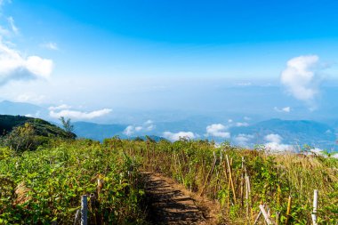 Tayland, Chiang Mai 'deki Kew Mae Pan Doğa Yolu' nda bulutlu ve mavi gökyüzü olan güzel bir dağ tabakası.