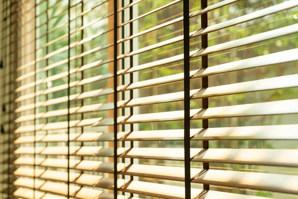 close-up bamboo blind, bamboo curtain, chick, Venetian blind or sun-blind - soft focus point