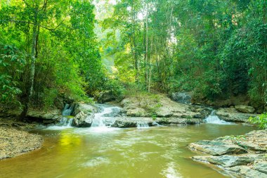 Güzel Mae Sa Şelalesi Chiang Mai, Tayland