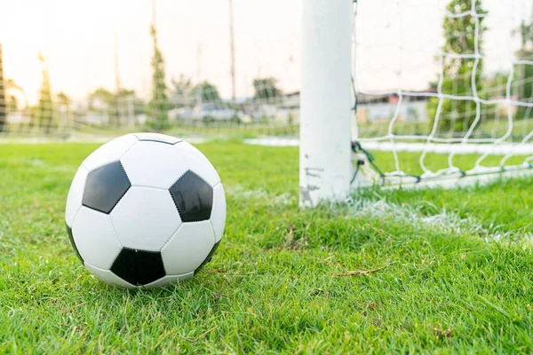 Soccer ball on the football field  background with copy space