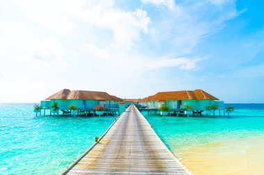 Güzel tropikal Maldivler tatil geçmişi olan plaj ve deniz manzaralı otel ve adalara giderler.