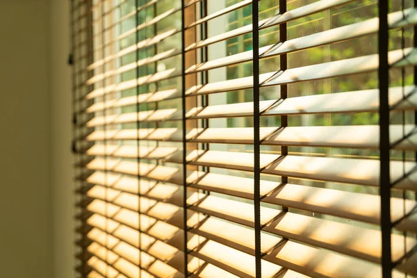 close-up bamboo blind, bamboo curtain, chick, Venetian blind or sun-blind - soft focus point