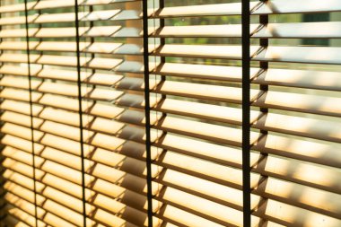 yakın çekim bambu perdesi, bambu perdesi, civciv, Venedik körü ya da güneş körü - yumuşak odak noktası