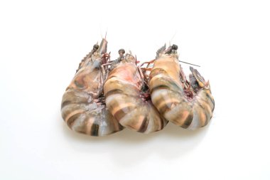 Beyaz arka planda izole edilmiş taze kaplan karidesi veya karides