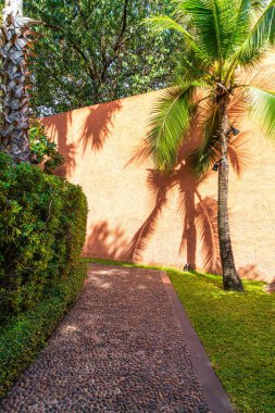 Ağaç ve turuncu duvarlı boş yürüyüş yolu