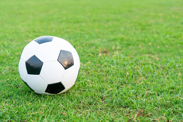 Soccer ball on the football field  background with copy space